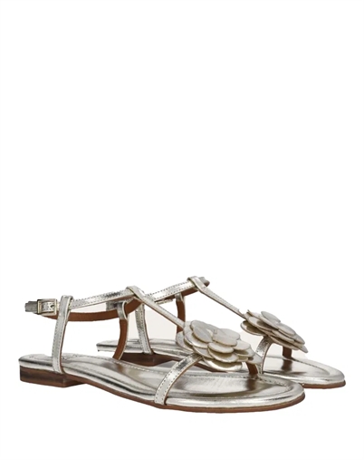 A8704 Sandal - Billi Bi